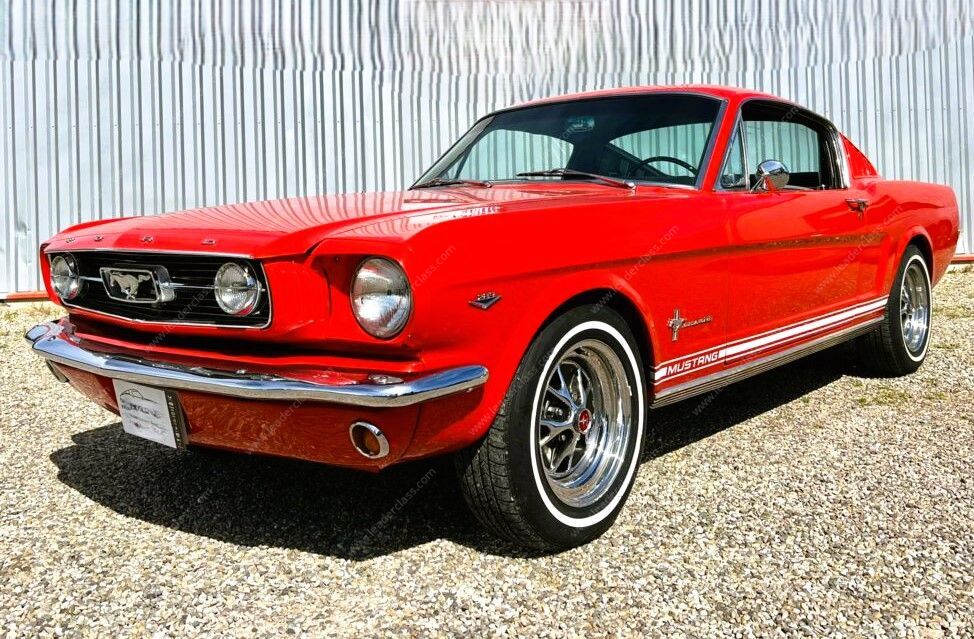 Ford Mustang 1966 Used