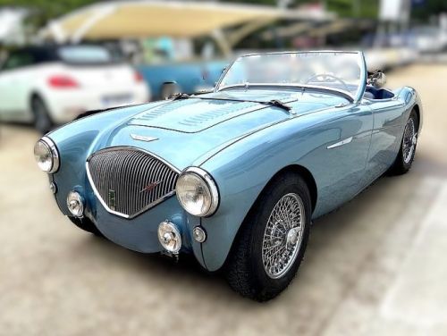 Austin-Healey 100 1954 Used