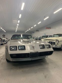 Pontiac Trans Am 1979 Used