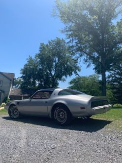 Pontiac Trans Am 1979 Used