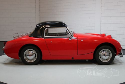 Austin-Healey Sprite 1961 Used