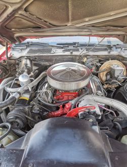 Pontiac Firebird 1979 Occasion