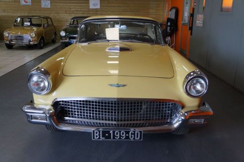 Ford Thunderbird 1957 Used