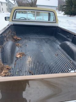 Chevrolet C10 1979 Used