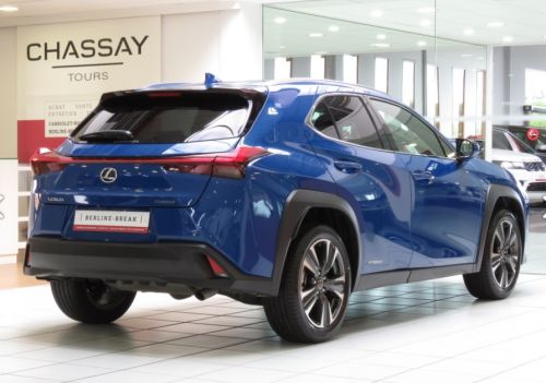 Lexus UX 2019 Occasion