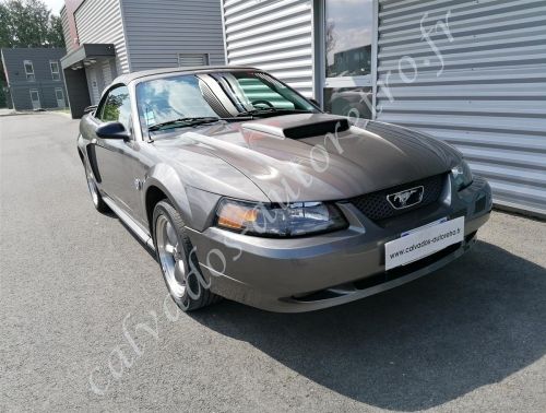 Ford Mustang 2004 Used