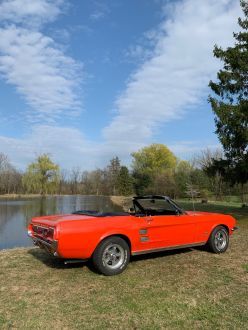 Ford Mustang 1967 Occasion