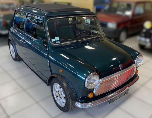 Rover Mini 1996 Used